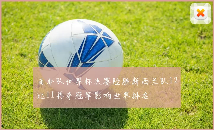 南非队世界杯决赛险胜新西兰队12比11再夺冠军影响世界排名
