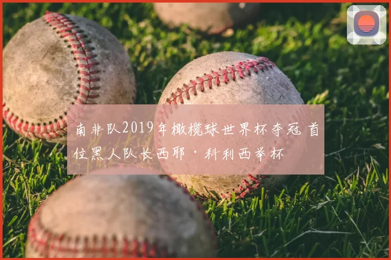 南非队2019年橄榄球世界杯夺冠 首位黑人队长西耶·科利西举杯