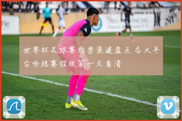 世界杯足球赛购票渠道盘点 各大平台价格赛程政策一文看清