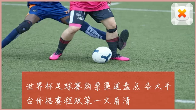 世界杯足球赛购票渠道盘点 各大平台价格赛程政策一文看清