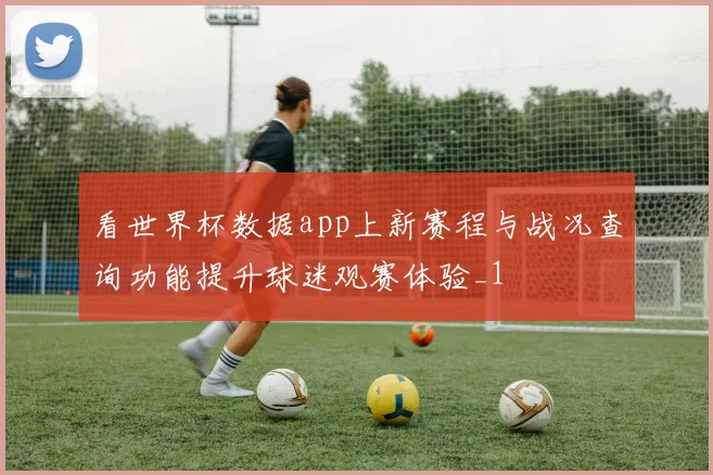看世界杯数据app上新赛程与战况查询功能提升球迷观赛体验_1